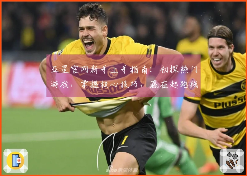 亚星官网新手上手指南：初探热门游戏，掌握核心技巧，赢在起跑线