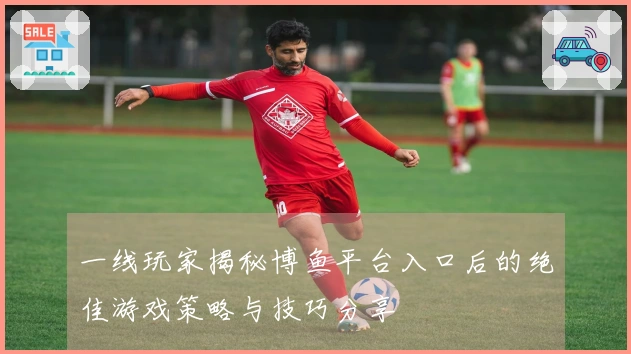 一线玩家揭秘博鱼平台入口后的绝佳游戏策略与技巧分享