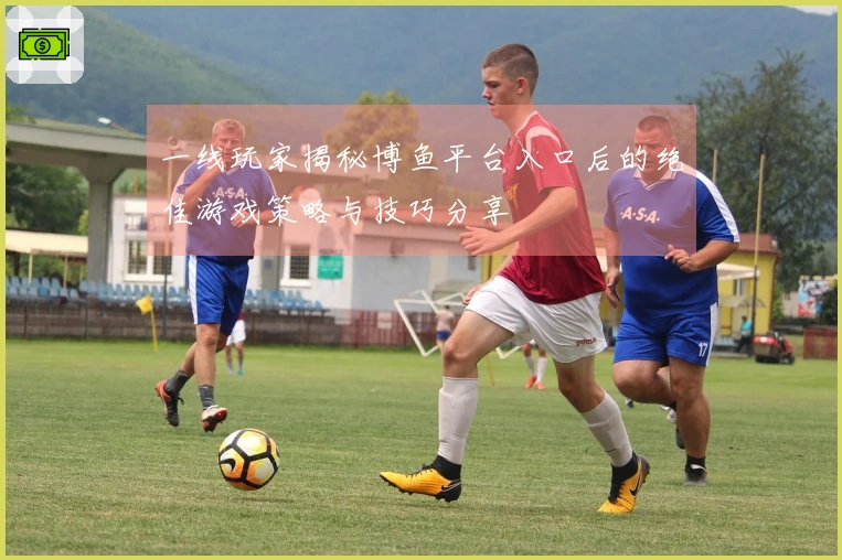 一线玩家揭秘博鱼平台入口后的绝佳游戏策略与技巧分享